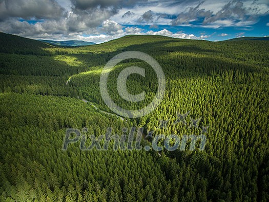 Aerial view of mountains covered with coniferous forests Aerial view of mountains covered with coniferous forests