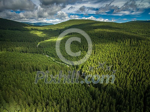 Aerial view of mountains covered with coniferous forests