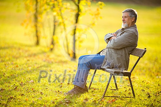 Portrait of a senior man outdoors, sitting on a bench in a park (shallow DOF; color toned image)