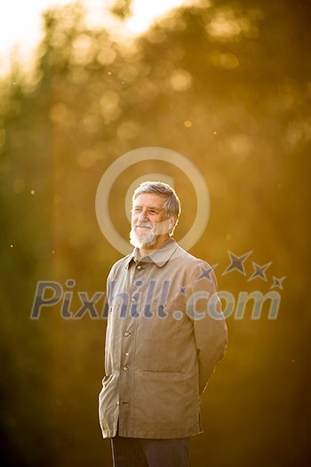 Portrait of a senior man outdoors, walking in a park, full lenght portrait (shallow DOF; color toned image)