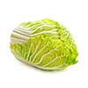 Whole green chinese cabbage head isolated on white