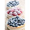 Closeup of fancy gourmet fresh berry dessert tarts