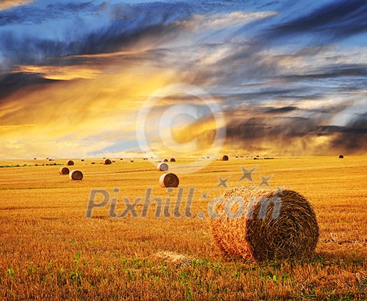 Golden sunset over farm field with hay bales