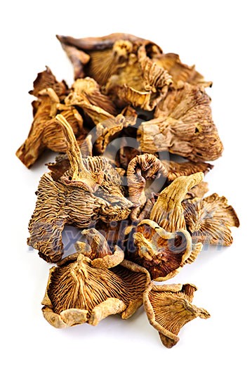 Dried chanterelle mushrooms isolated on white background Dried chanterelle mushrooms isolated on white background