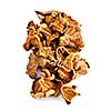 Dried chanterelle mushrooms isolated on white background