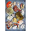 Background with different types of marine life from Atlantic ocean in Newfoundland, Canada