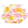 Abstract background of fresh scattered rose petals