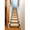 Stairway to basement in home interior with wood paneling