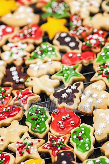 Freshly baked homemade shortbread Christmas cookies on cooling rack