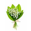 Lily of the valley flowers bouquet isolated on white background