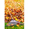 Pile of fall leaves with fan rake on lawn