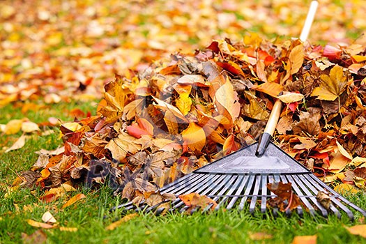 Pile of fall leaves with fan rake on lawn Pile of fall leaves with fan rake on lawn