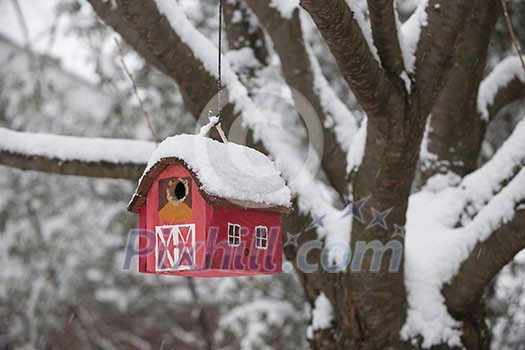 Red bird house hanging outdoors in winter on tree covered with snow