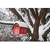 Red bird house hanging outdoors in winter on tree covered with snow
