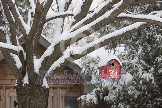 Snow covered red barn birdhouse hanging on tree outside near shed in backyard Snow covered red barn birdhouse hanging on tree outside near shed in backyard