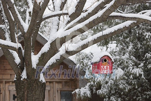 Snow covered red barn birdhouse hanging on tree outside near shed in backyard