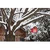 Snow covered red barn birdhouse hanging on tree outside near shed in backyard