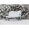 Metal bench covered with snow in winter park