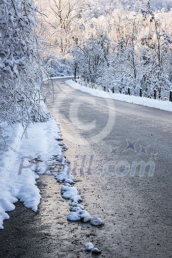 Winter road through icy forest covered in snow after ice storm and snowfall. Ontario, Canada.