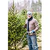 Man with saw choosing fresh Christmas trees at cut your own tree farm