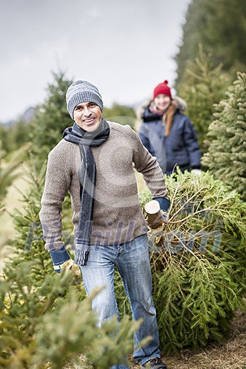 Man dragging fresh spruce at cut your own Christmas tree farm with his daughter in background