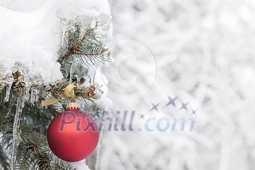 Red Christmas ornament hanging on snow covered spruce tree outside with copy space