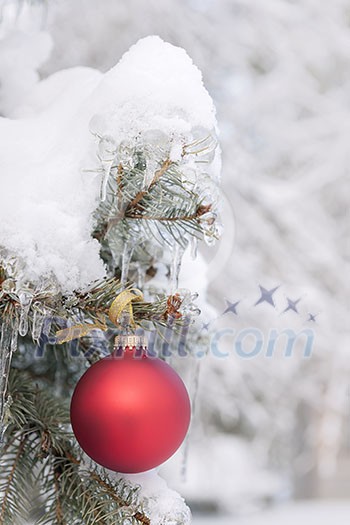 Red Christmas ornament hanging on snow covered spruce tree outside