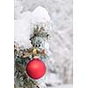 Red Christmas ornament hanging on snow covered spruce tree outside