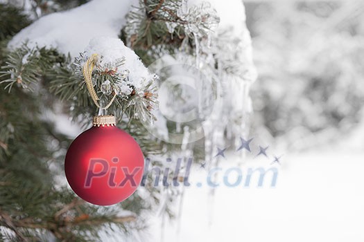 Red Christmas ornament hanging on snow covered spruce tree outside