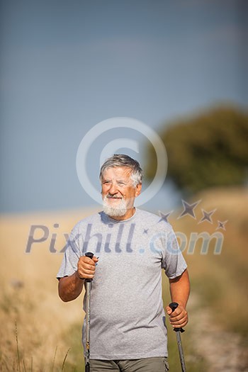 Active handsome senior man nordic walking outdoors on a forest path, enjoying his retirement