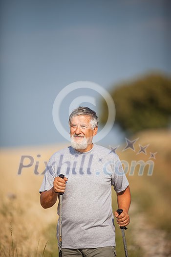 Active handsome senior man nordic walking outdoors on a forest path, enjoying his retirement Active handsome senior man nordic walking outdoors on a forest path, enjoying his retirement