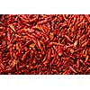 Dry red pepper. Food background.