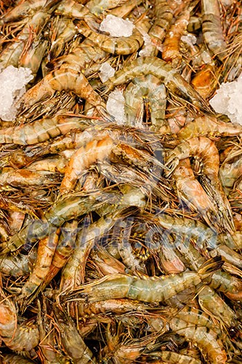 Raw shrimp on ice. Background. Raw shrimp on ice. Background.