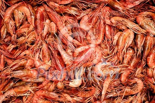 Raw shrimp. Background.