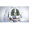Close up of businessman holding in hands green tree concept