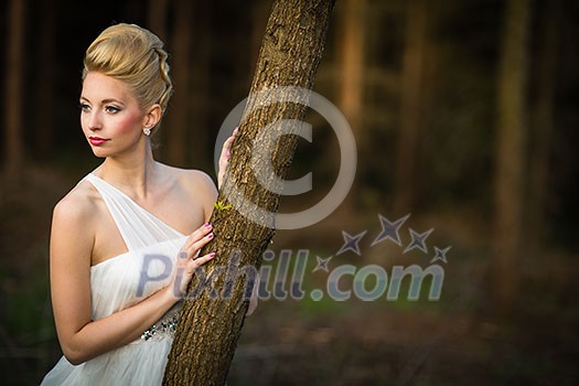Lovely bride on her wedding day outdoors in a forest (color toned image; shallow DOF) Lovely bride on her wedding day outdoors in a forest (color toned image; shallow DOF)