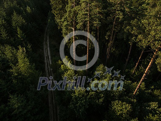 Aerial view of vast forests Aerial view of vast forests
