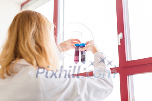 Young female scientist works in modern chemistry/biology lab (shallow DOF; color toned image) Young female scientist works in modern chemistry/biology lab (shallow DOF; color toned image)