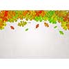 Background conceptual image with autumn leaves. Place for text