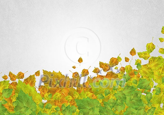 Background conceptual image with autumn leaves. Place for text Background conceptual image with autumn leaves. Place for text
