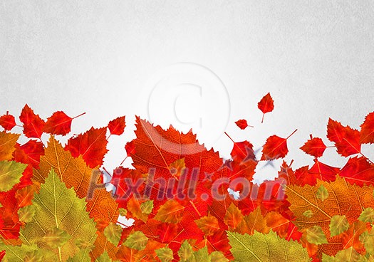 Background conceptual image with autumn leaves. Place for text