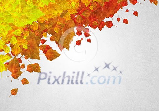 Background conceptual image with autumn leaves. Place for text Background conceptual image with autumn leaves. Place for text