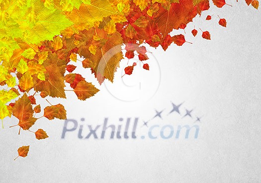 Background conceptual image with autumn leaves. Place for text