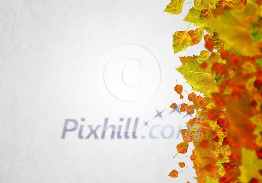 Background conceptual image with autumn leaves. Place for text Background conceptual image with autumn leaves. Place for text