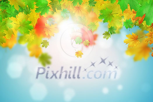 Background conceptual image with autumn leaves. Place for text