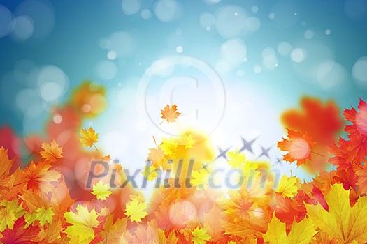 Background conceptual image with autumn leaves. Place for text Background conceptual image with autumn leaves. Place for text