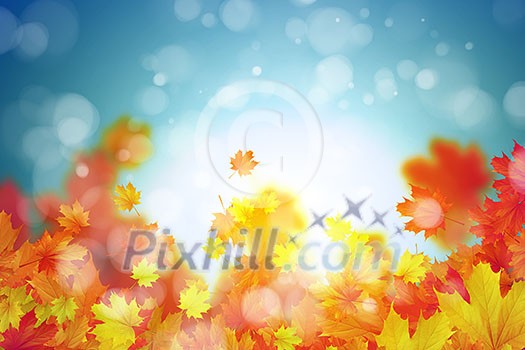 Background conceptual image with autumn leaves. Place for text