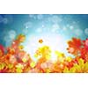 Background conceptual image with autumn leaves. Place for text