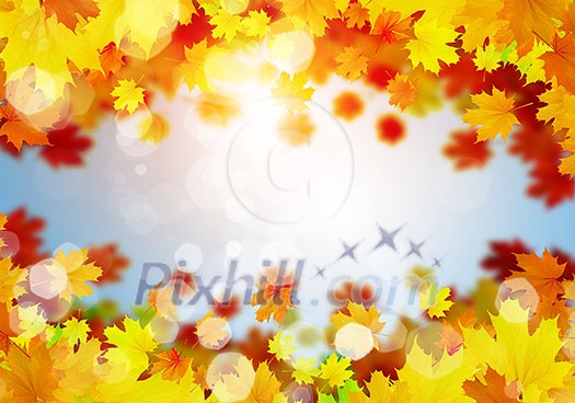 Background conceptual image with autumn leaves. Place for text