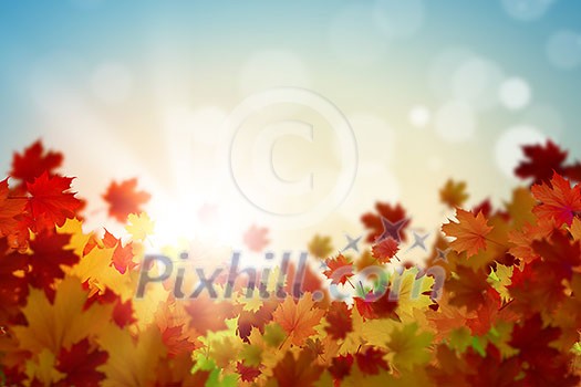 Background conceptual image with autumn leaves. Place for text